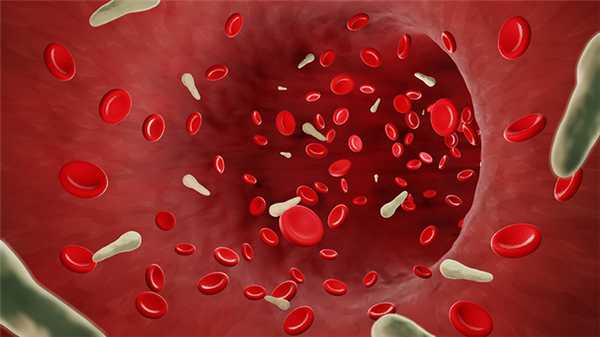 Повышенные базофилы в крови, фото