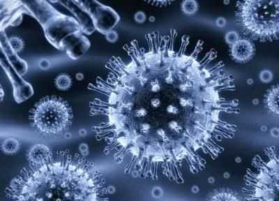 Ротавирус под микроскопом