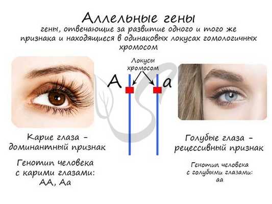 Аллельные гены