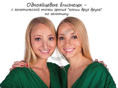 Близнецовый метод