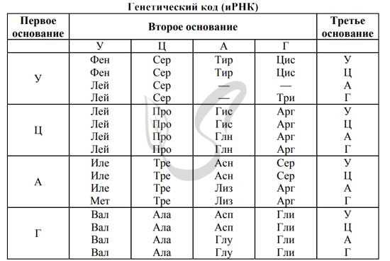 Таблица генетического кода