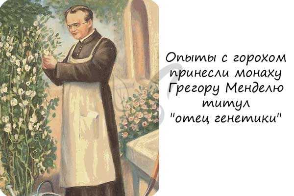 Грегор Мендель