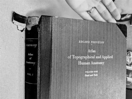 Фотография: Дьявольский атлас профессора Пернкопфа №9 - BigPicture.ru