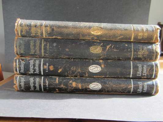 Фотография: Дьявольский атлас профессора Пернкопфа №12 - BigPicture.ru