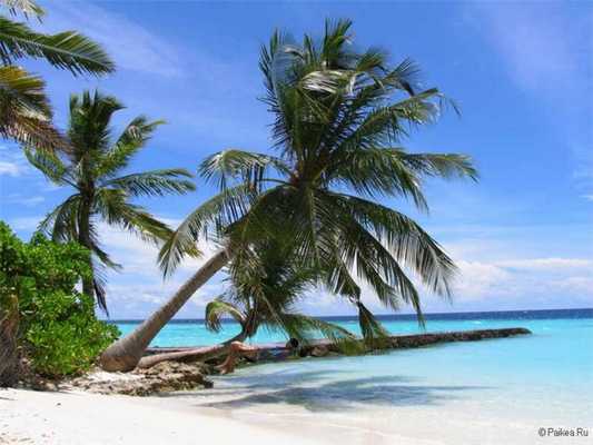 мальдивы отдых