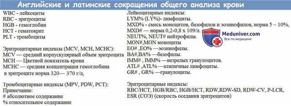 общий анализ крови в норме