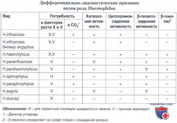 Бактерии Haemophilus influenzae: морфологические, культуральные, биохимические свойства