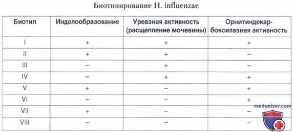 Бактерии Haemophilus influenzae: морфологические, культуральные, биохимические свойства