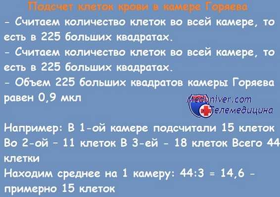 подсчет клеток крови в камере Горяева