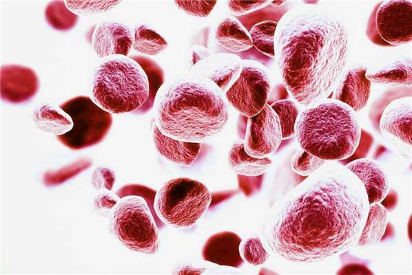 Фото: Shutterstock