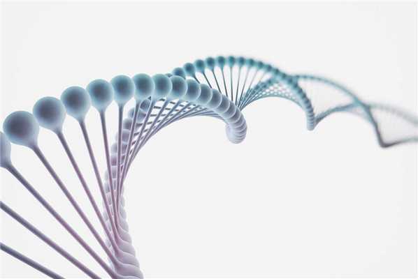 Фото: Shutterstock