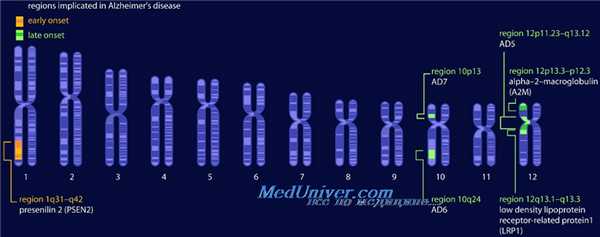генетика болезни Альцгеймера