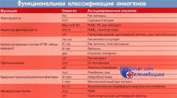 Функциональная классификация онкогенов