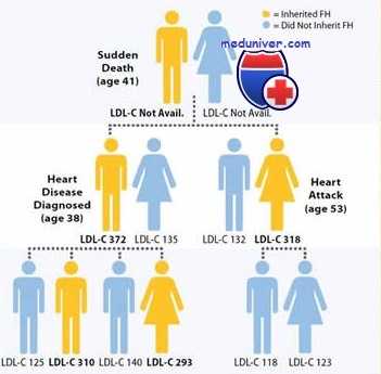 семейная гиперхолестеринемия