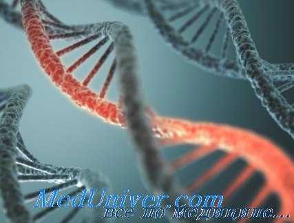 генотерапия генетических болезней