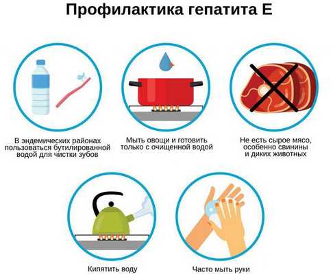 Профилактика гепатита Е