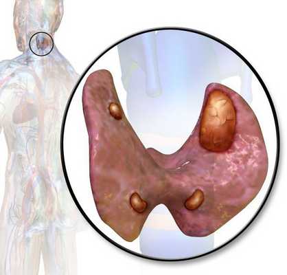 Курашова Оксана Николаевна, терапевт, эндокринолог - Барнаул