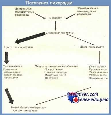 патогенез лихорадки