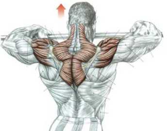 Фото Гипертрофия мышц плечевого пояса