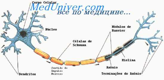 синдром паркинсонизма