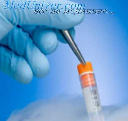 спинной мозг эмбриона