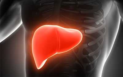 Подавляются процессы репликации ДНК - Веримед