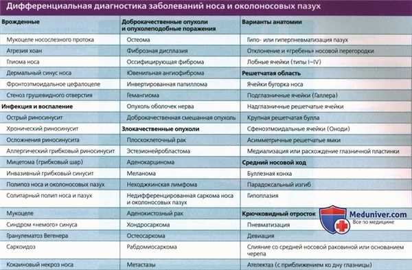Введение в лучевую диагностику носа и придаточных пазух: лучевая анатомия, методы исследования