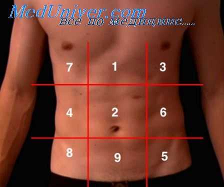 глубокая пальпация живота