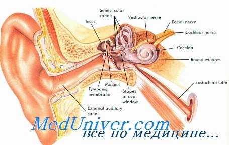 инфекционные болезни уха