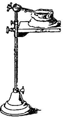 Фиксация гипсом модели верхней челюсти