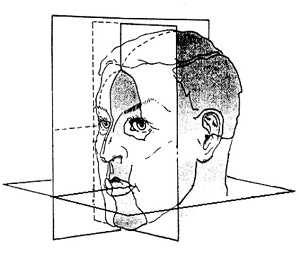 Трехмерная система координат Симона