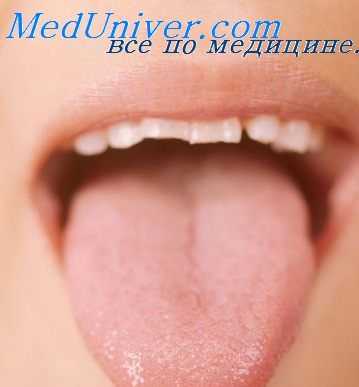 слизистая полости рта
