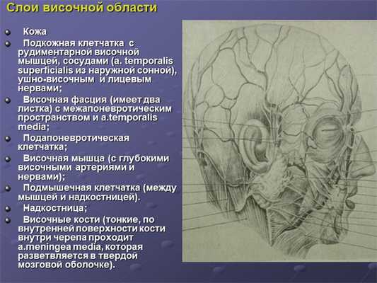 Слои височной области Кожа Подкожная клетчатка с рудиментарной височн. 