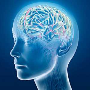 Как работает мозг человека: часть вторая