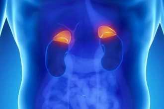 Как надпочечники влияют на давление