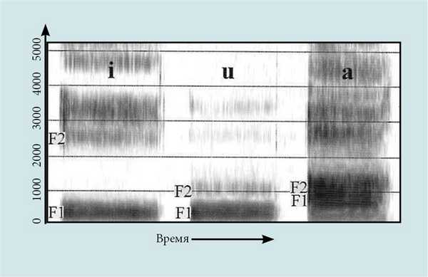 Спектрограмма