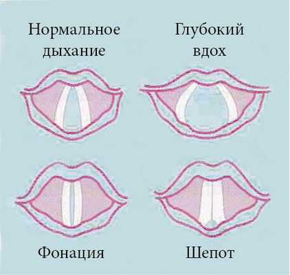 Степень открытия голосовой щели