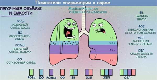 Легочные показатели при спирометрии
