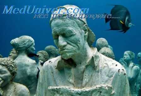 имитационное поведение