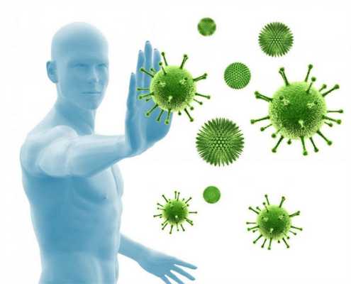 Уничтожение болезнетворных микроорганизмов