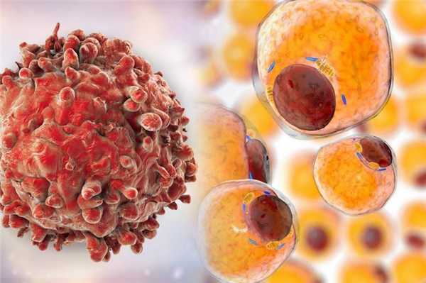 Ингибиторы кальциневрина