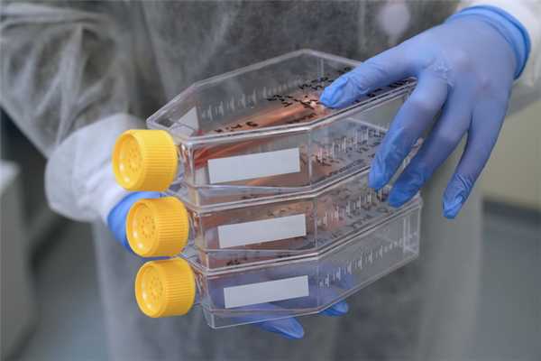 Иммунитет против рака: рассказываем об исследованиях НМИЦ в области онкоиммунологии