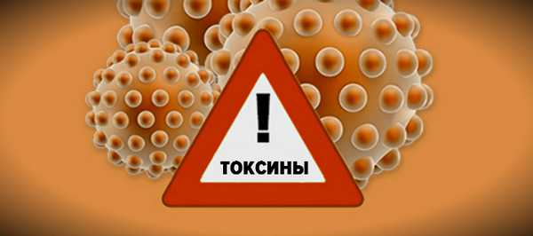 иммунотоксикология