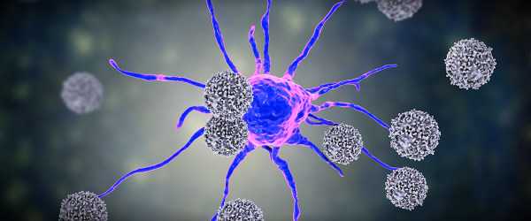 иммунотоксичность