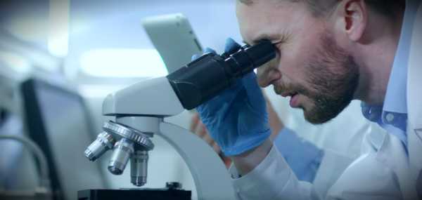 иммунотоксикология ученые