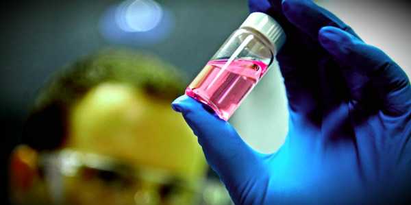 что изучает иммунотоксикология