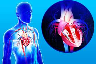 Диагностика сердца пациента