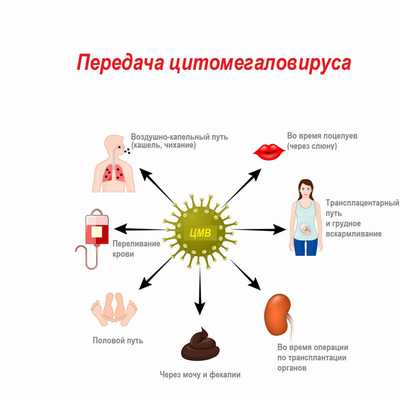 Передача вируса.jpg