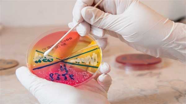 Когда золотистый стафилококк вызывает болезнь?