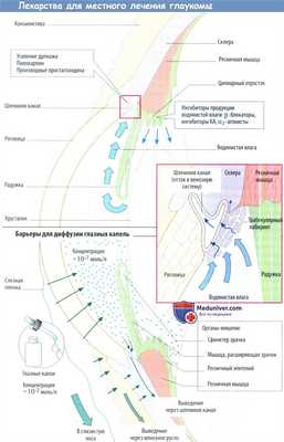 Лекарства для местного лечения глаукомы